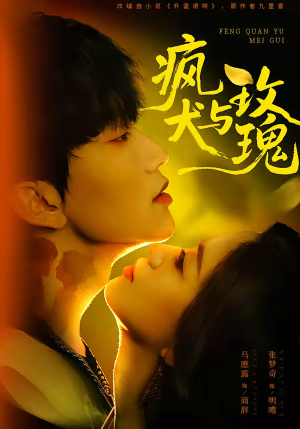 疯犬与玫瑰（80集）无需掏钱整部剧免费看短剧