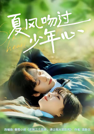 夏风吻过少年心（76集）每天分享精彩短剧