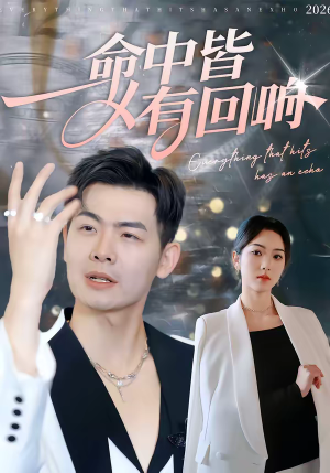 命中皆有回响（62集）每日短剧追不停