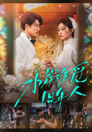 水岸难觅旧年人（68集）最新短剧抢先看全集