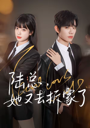 陆总，她又去拆家了（80集）这个短剧太好看了