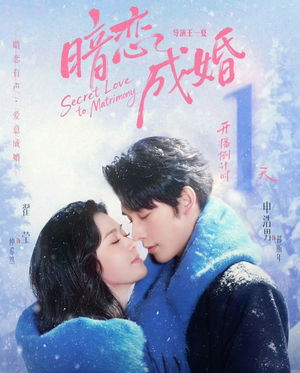 暗恋成婚（60集）精彩好看的短剧