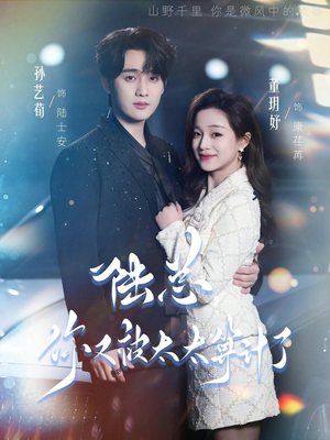 陆总，你又被太太算计了（70集）在哪里可以免费观看短剧