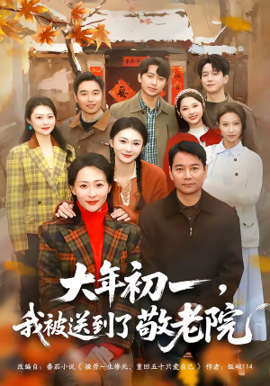 大年初一，我被送到了敬老院（60集）红果短剧免费看后续