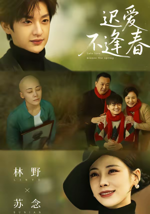 迟爱不逢春（62集）在线观看全集的热门短剧推荐