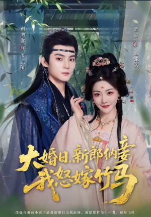 大婚日，新郎纳妾我怒嫁竹马（80集）全集短剧免费观看