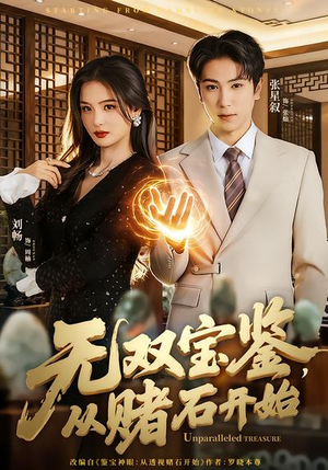 无双宝鉴，从赌石开始（70集）穿越短剧免费看全集