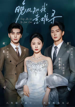 晚风知我意难寻（60集）热门古装短剧推荐