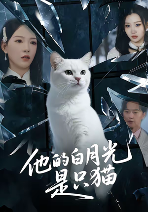 他的白月光是只猫（69集）直接看到大结局的短剧资源