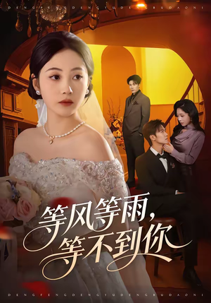 等风等雨，等不到你（65集）每晚准时更新分享