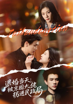 退婚当天：被京圈大佬拐进民政局（80集）全集短剧免费在线观看