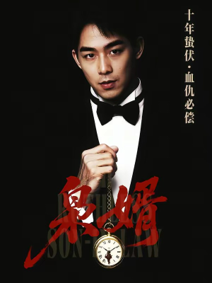 枭婿（62集）热播短剧推荐分享