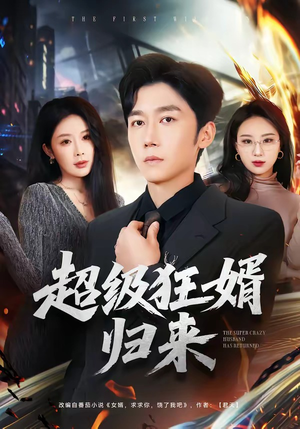 超级狂婿归来（81集）超好看古装短剧