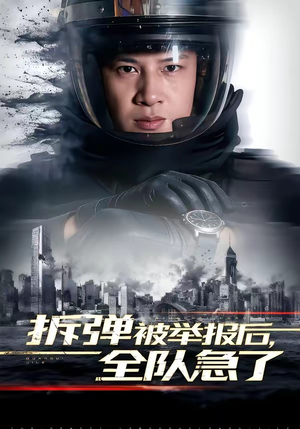 拆弹被举报后，全队急了（50集）在线免费观看热门短剧