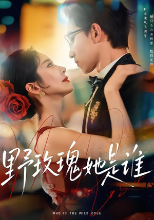 野玫瑰她是谁（84集）看短剧放松一下