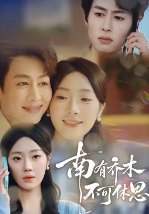 南有乔木，不可休思（68集）火爆短剧来袭好看又上头的短剧
