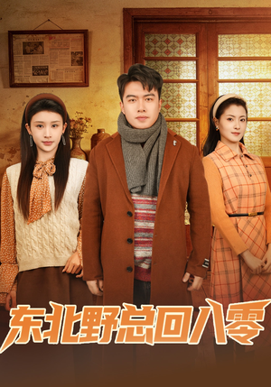 东北野总回八零（65集）短剧在哪个平台