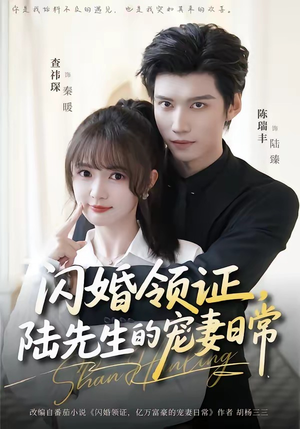闪婚领证，陆先生的宠妻日常（86集）超好看短剧抢先看