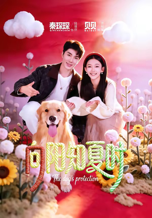 向阳知夏时（80集）在线即可畅享全集短剧