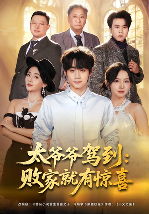 太爷爷驾到：败家就有惊喜（80集）蛋花短剧免费看全集