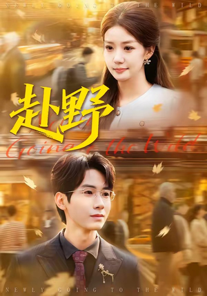 赴野（40集）在线免费看最新短剧