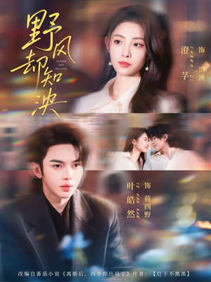 野风却知泱（80集）短剧最热榜最近火的