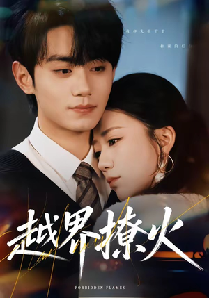 越界撩火（64集）免费短剧全集任你观看