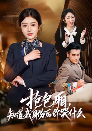 抢包厢，知道我身份后你哭什么（70集）省钱短剧免费看个够