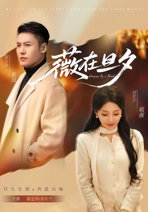 薇在旦夕（80集）红果天天免费看短剧