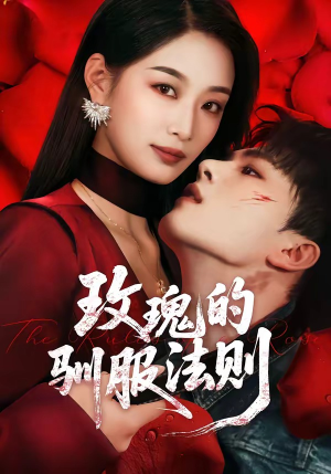 玫瑰的驯服法则（65集）精彩古装短剧推荐