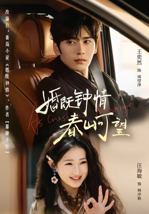 热恋，从新婚开始（91集）免费观看全集的短剧网站精选