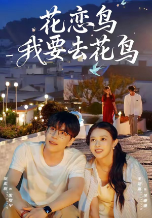 花恋鸟我要去花鸟（60集）真的太精彩了短剧分享社区