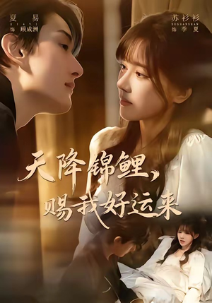 天降锦鲤，赐我好运来（60集）一口气看到短剧大结局