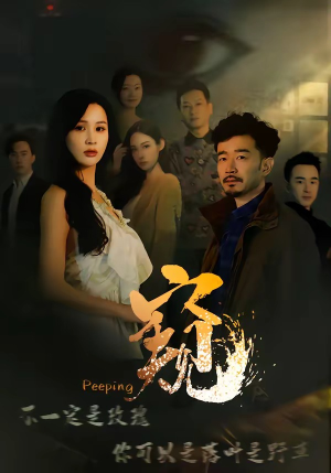 窥＆窥伺（37集）大结局直达的短剧推荐