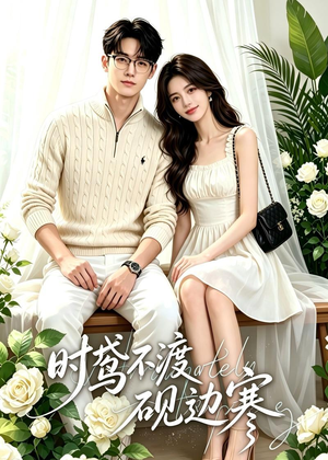 时鸢不渡砚边寒（41集）好看又精彩的短剧