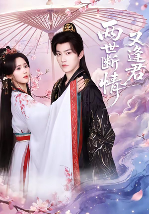 两世断情又逢君（71集）全集免费观看西瓜短剧