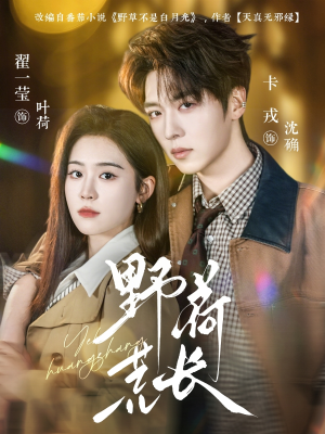 野荷荒长（86集）免费观看最新短剧全集