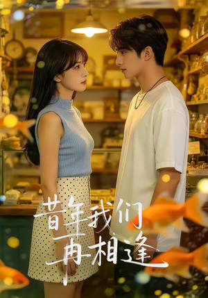昔年我们再相逢（40集）全集在线短剧观看免费版