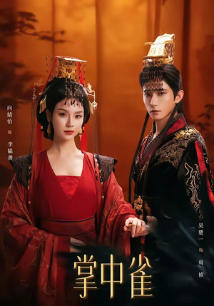 掌中雀（80集）无需注册短剧在线免费看